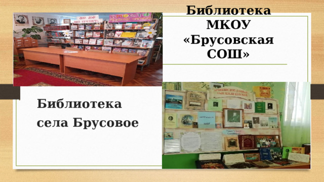 Библиотека МКОУ «Брусовская СОШ»   Библиотека села Брусовое 