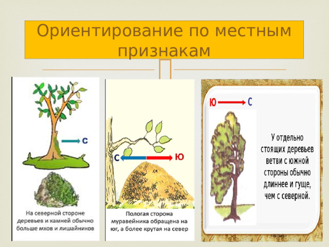 Определи по указанным признакам. Ориентирование по солнцу и местным природным признакам. Ориентирование по местным природным признакам. Способы ориентирования по местным признакам. Ориентация на местности по природным признакам.