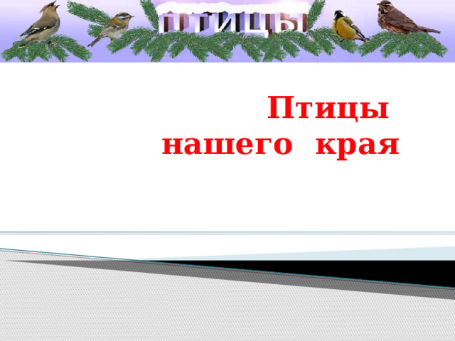  Птицы нашего края    