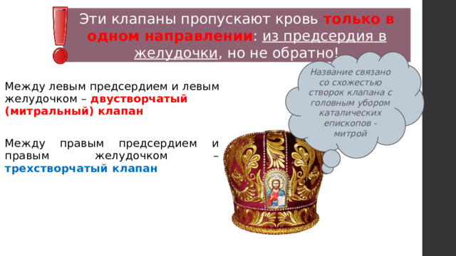 Эти клапаны пропускают кровь только в одном направлении : из предсердия в желудочки , но не обратно! Название связано со схожестью створок клапана с головным убором каталических епископов - митрой Между левым предсердием и левым желудочком – двустворчатый (митральный) клапан Между правым предсердием и правым желудочком – трехстворчатый клапан 