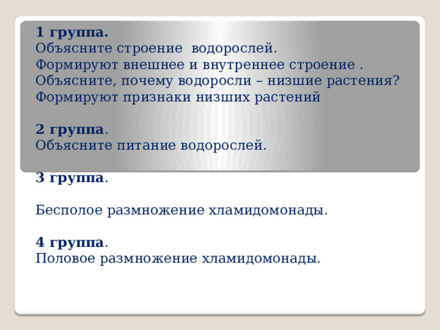 1 группа. Объясните строение водорослей. Формируют внешнее и внутреннее строение . Объясните, почему водоросли – низшие растения? Формируют признаки низших растений   2 группа . Объясните питание водорослей.   3 группа . Бесполое размножение хламидомонады.   4 группа . Половое размножение хламидомонады.   