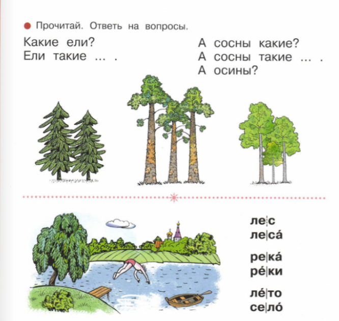 Осина схема к слову 1 класс