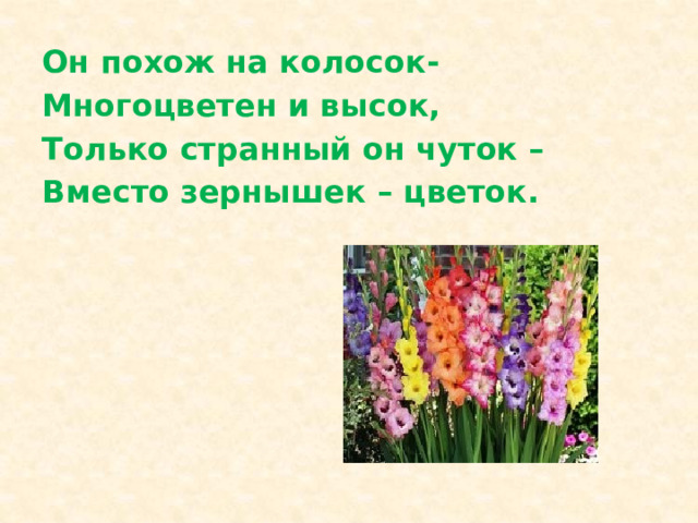 Презентация чудесные цветники весной 2 класс перспектива. Презентация на тему весенние цветы. Чудесные цветники весной. Растения цветника 1 класс окружающий мир. Чудесные цветники весной окружающий мир.