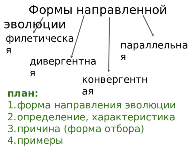 Формы направлений эволюции таблица