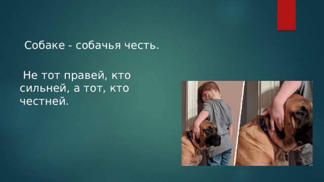  Собаке - собачья честь.   Не тот правей, кто сильней, а тот, кто честней.   