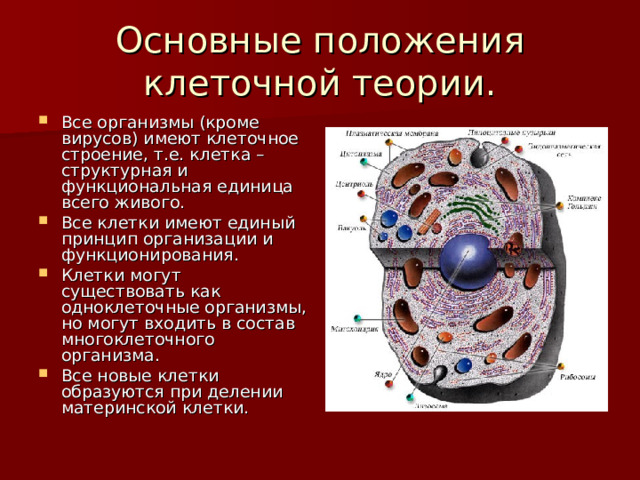 Клетка основная единица живого организма таблица Помогите пожалуйста , мне очень нужно( Школьные Знания.com