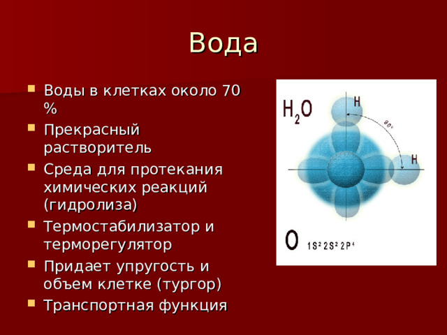 Гидролизация. Гидролизация это в химии.