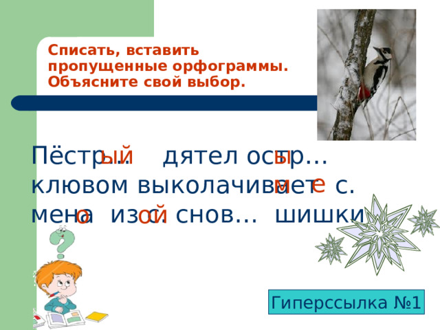 Списать, вставить пропущенные орфограммы. Объясните свой выбор. Пёстр… дятел остр… клювом выколачивает с. мена из с. снов… шишки. ый ым е о ой Гиперссылка №1 