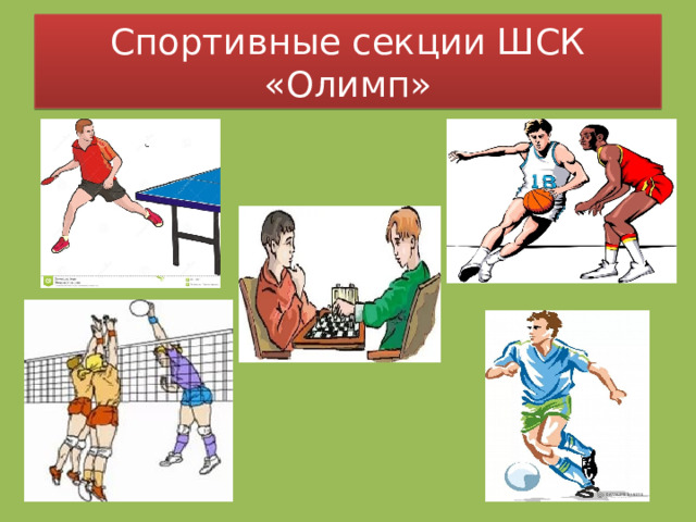 Спортивные секции ШСК «Олимп» 