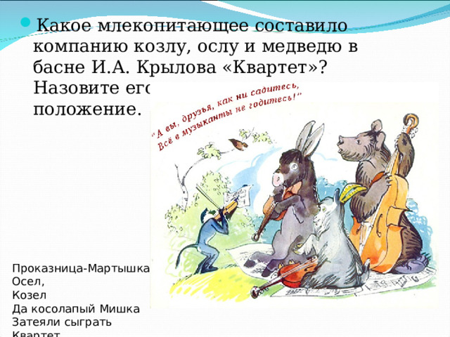 Какое млекопитающее составило компанию козлу, ослу и медведю в басне И.А. Крылова «Квартет»? Назовите его систематическое положение.  Проказница-Мартышка,   Осел,   Козел   Да косолапый Мишка   Затеяли сыграть Квартет.  