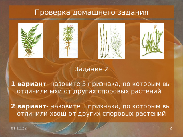 Семенные растения 5 класс биология. Семенные растения. Статистика голосеменных. По каким признакам семенные растения отличаются от мхов. Как отличить споровые растения от семенных растений.