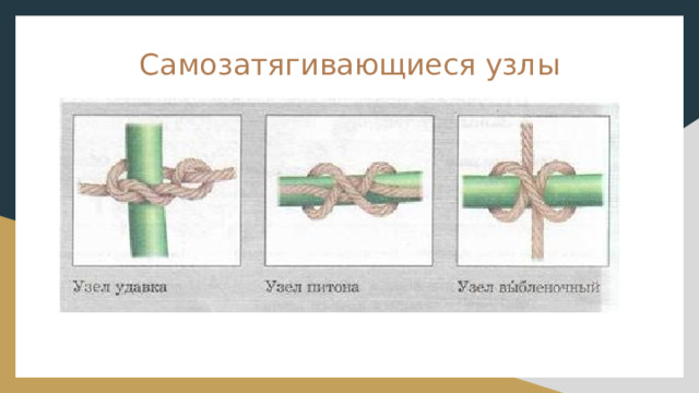 Как завязать самозатягивающийся узел Методическая разработка презентации "Узлы в туристском походе"
