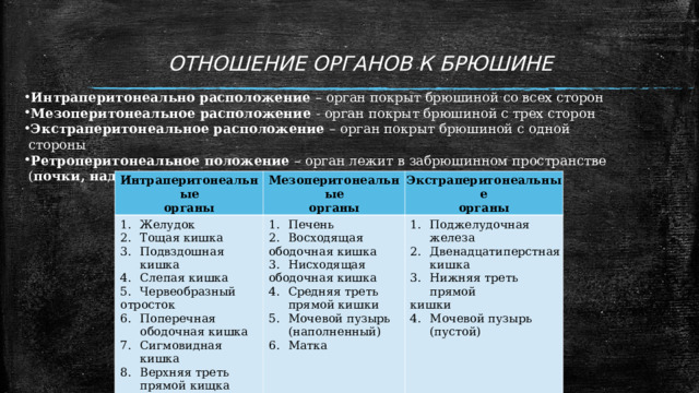 ОТНОШЕНИЕ ОРГАНОВ К БРЮШИНЕ Интраперитонеально расположение – орган покрыт брюшиной со всех сторон Мезоперитонеальное расположение - орган покрыт брюшиной с трех сторон Экстраперитонеальное расположение – орган покрыт брюшиной с одной стороны Ретроперитонеальное положение – орган лежит в забрюшинном пространстве ( почки, надпочечники, мочеточники ) Интраперитонеальные органы Желудок Тощая кишка Подвздошная кишка Слепая кишка Червеобразный Мезоперитонеальные органы Экстраперитонеальные органы отросток Печень Восходящая Поперечная ободочная кишка Сигмовидная кишка Верхняя треть прямой кищка Селезенка Маточные трубы Поджелудочная железа Двенадцатиперстная кишка Нижняя треть прямой ободочная кишка Нисходящая кишки ободочная кишка Мочевой пузырь (пустой) Средняя треть прямой кишки Мочевой пузырь (наполненный) Матка 