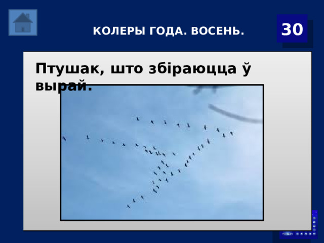  КОЛЕРЫ ГОДА. ВОСЕНЬ.   30 Птушак, што збіраюцца ў вырай. 