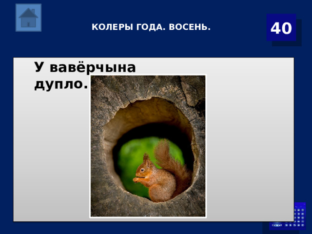  КОЛЕРЫ ГОДА. ВОСЕНЬ.   40 У вавёрчына дупло. 