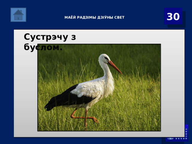   МАЁЙ РАДЗІМЫ ДЗІЎНЫ СВЕТ    30 Сустрэчу з буслом. 