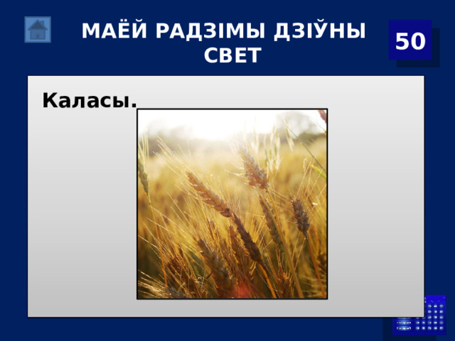 МАЁЙ РАДЗІМЫ ДЗІЎНЫ СВЕТ 50 Каласы. 
