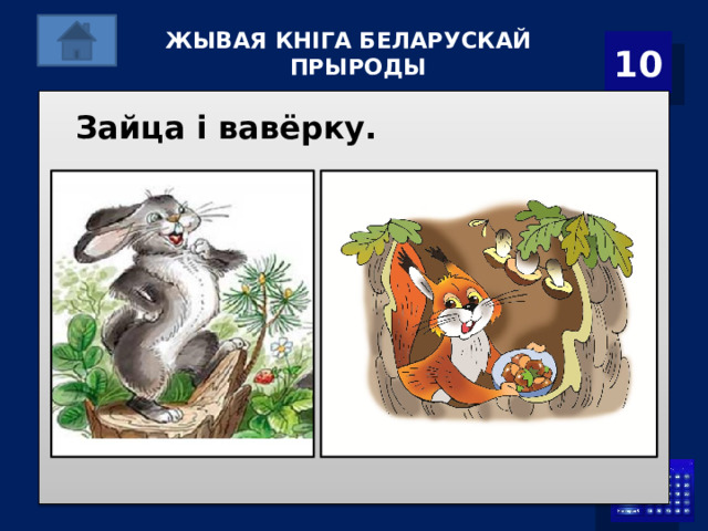 ЖЫВАЯ КНІГА БЕЛАРУСКАЙ ПРЫРОДЫ   10 Зайца і вавёрку. 