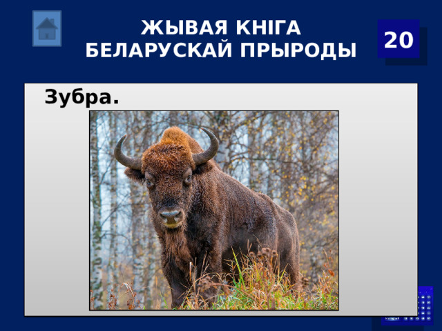 ЖЫВАЯ КНІГА БЕЛАРУСКАЙ ПРЫРОДЫ 20 Зубра. 