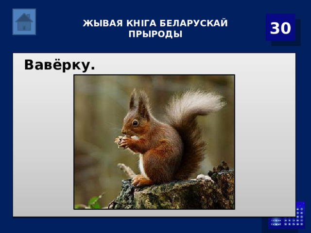   ЖЫВАЯ КНІГА БЕЛАРУСКАЙ ПРЫРОДЫ 30 Вавёрку. 