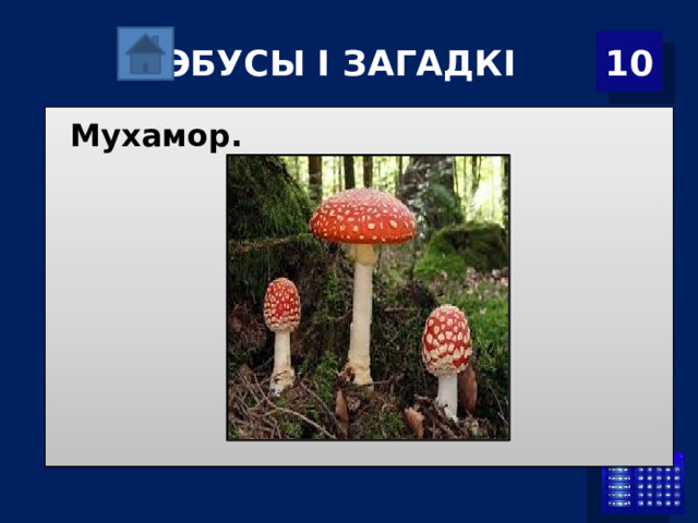 Р ЭБУСЫ І ЗАГАДКІ 10 Мухамор. 