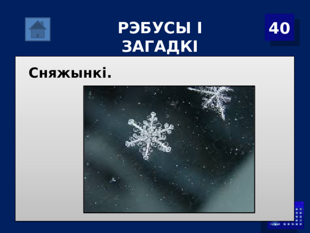40 Р ЭБУСЫ І ЗАГАДКІ Сняжынкі. 