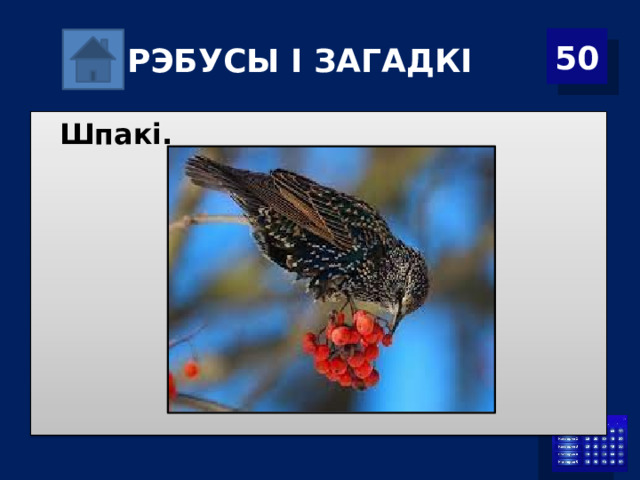Р ЭБУСЫ І ЗАГАДКІ 50 Шпакі. 