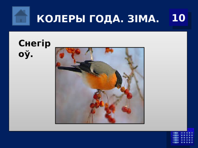 КОЛЕРЫ ГОДА. ЗІМА. 10 Снегіроў. 