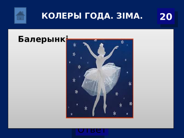 20 КОЛЕРЫ ГОДА. ЗІМА. Балерынкі. 