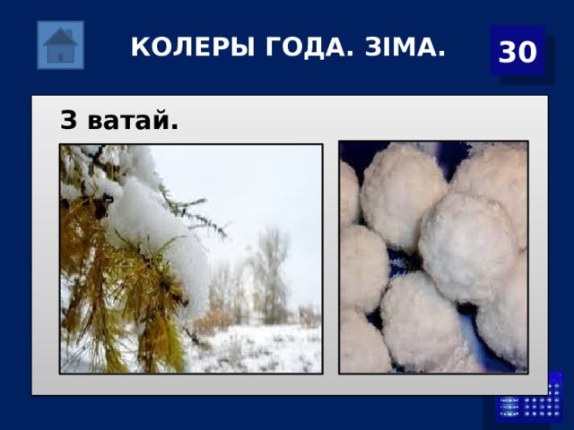 30 КОЛЕРЫ ГОДА. ЗІМА. З ватай. 