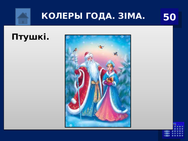 50 КОЛЕРЫ ГОДА. ЗІМА. Птушкі. 