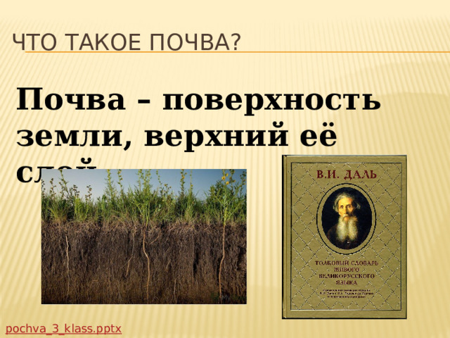 Презентация к уроку "Почва". 3 класс.