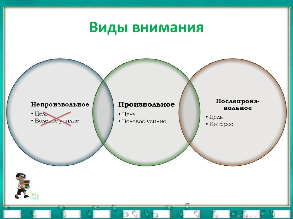 Виды внимания схема