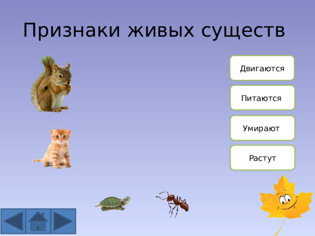 Тест по теме признаки живого