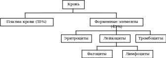 Форменные элементы крови