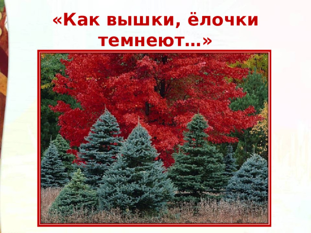 «Как вышки, ёлочки темнеют…» 
