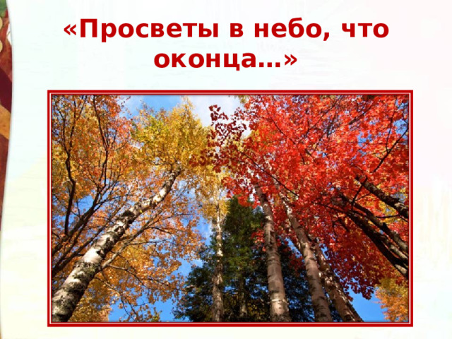«Просветы в небо, что оконца…» 