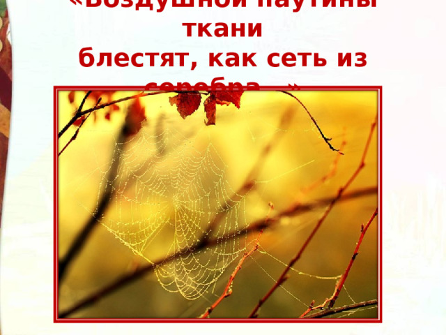 «Воздушной паутины ткани  блестят, как сеть из серебра…» 