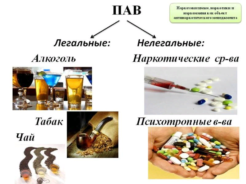 Пав картинки для презентации