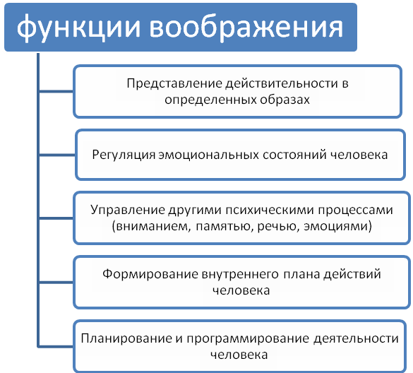 Функции воображения. Анализ функций воображения таблица. Функции и формы воображения в психологии. Функции воображения в психологии. Функции воображения в психологии кратко.