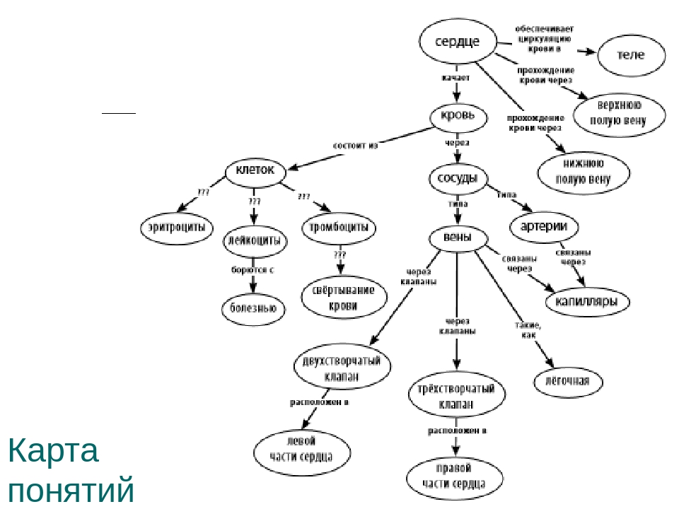 Что означает понятие карта. Что такое карта понятий в биологии. Карта понятий по биологии 9 класс. Составление карты понятий. Составить карту понятий.
