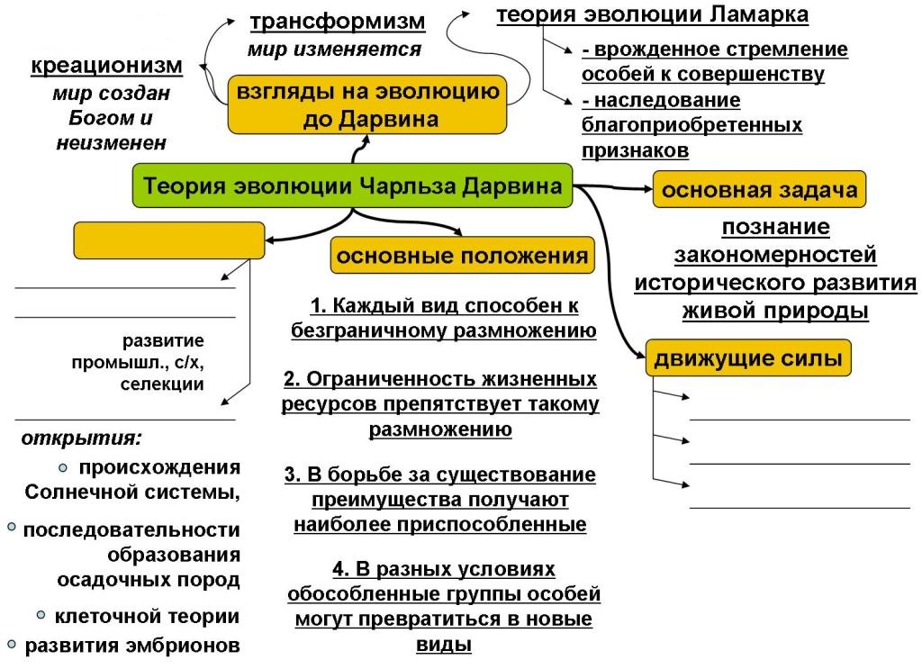 Оформите схему логическая структура дарвинизма живые организмы характеризуются жизненные ресурсы