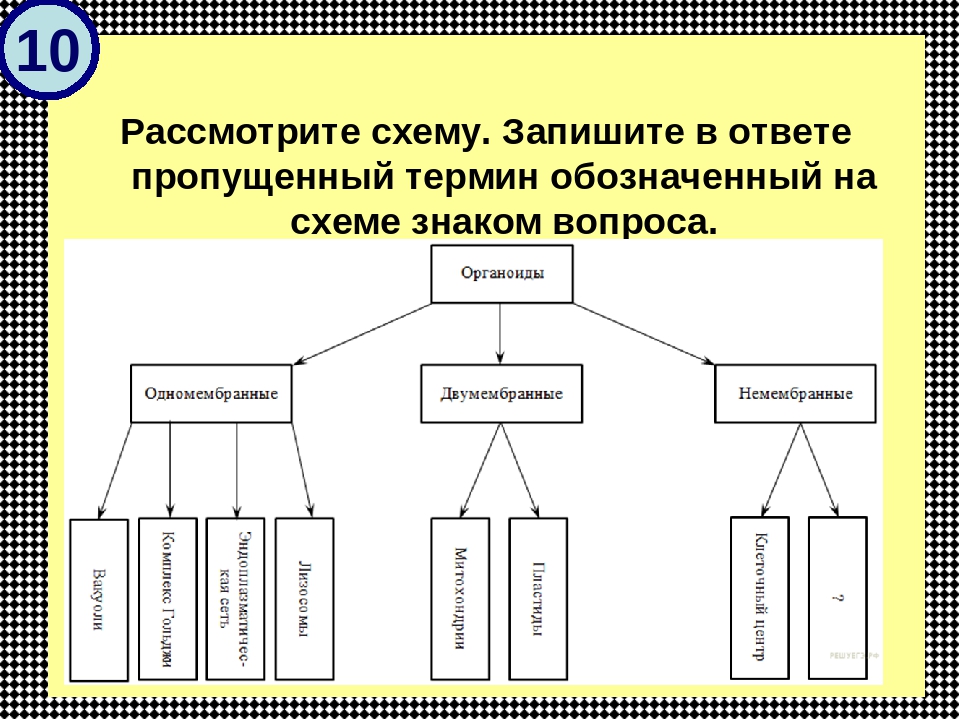 Дополните схему почва вписав недостающие понятия в этой системе