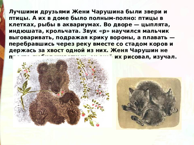 Лучшими друзьями Жени Чарушина были звери и птицы. А их в доме было полным-полно: птицы в клетках, рыбы в аквариумах. Во дворе — цыплята, индюшата, крольчата. Звук «р» научился мальчик выговаривать, подражая крику вороны, а плавать — перебравшись через реку вместе со стадом коров и держась за хвост одной из них. Женя Чарушин не просто любил животных, он ещё их рисовал, изучал. 