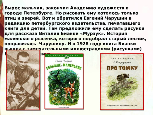 Вырос мальчик, закончил Академию художеств в городе Петербурге. Но рисовать ему хотелось только птиц и зверей. Вот и обратился Евгений Чарушин в редакцию петербургского издательства, печатавшего книги для детей. Там предложили ему сделать рисунки для рассказа Виталия Бианки «Мурзук». История маленького рысёнка, которого подобрал старый лесник, понравилась Чарушину. И в 1928 году книга Бианки вышла с замечательными иллюстрациями (ри­сунками) Евгения Чарушина. 