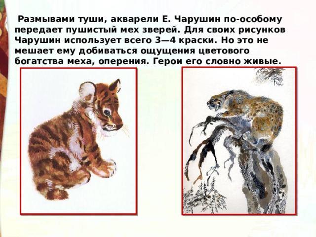  Размывами туши, акварели Е. Чарушин по-особому передает пушистый мех зверей. Для своих рисунков Чарушин использует всего 3—4 краски. Но это не мешает ему добиваться ощущения цветового богатства меха, оперения. Герои его словно живые. 