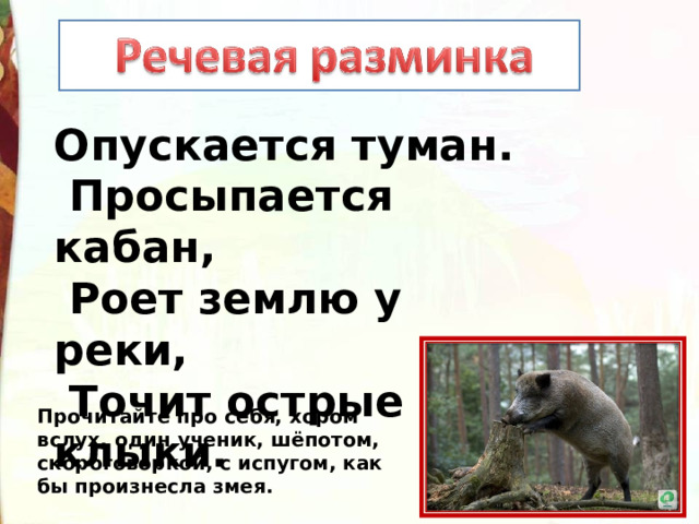 Опускается туман.   Просыпается кабан,   Роет землю у реки,   Точит острые клыки. Прочитайте про себя, хором вслух, один ученик, шёпотом, скороговоркой, с испугом, как бы произнесла змея. 