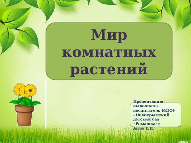 Комнатные растения - Окружающий мир - Презентации - 2 класс