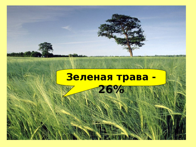 Зеленая трава - 26% 