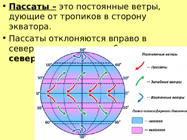 Ветер постоянно дующий от тропиков